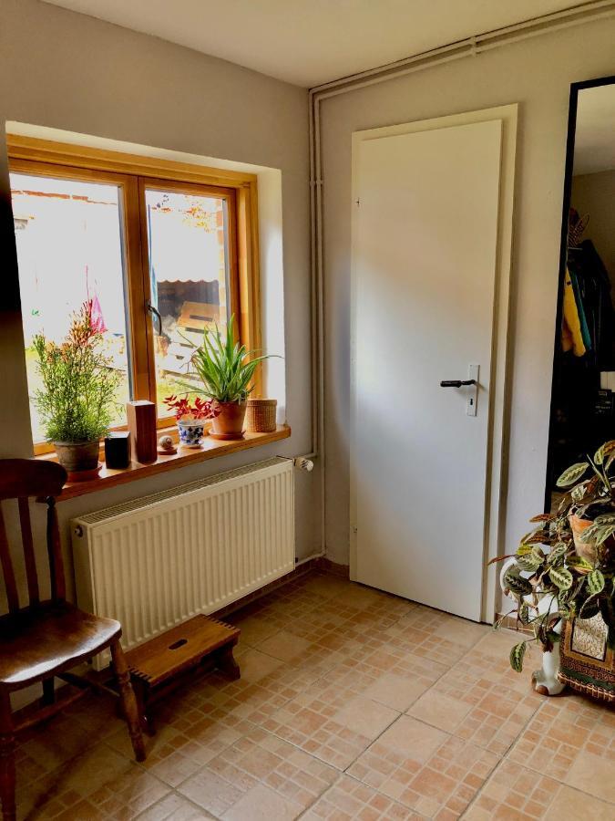 Gemuetliches Studio-Apartment In Ostseenaehe - Cosy Wulfi Probsteierhagen Buitenkant foto