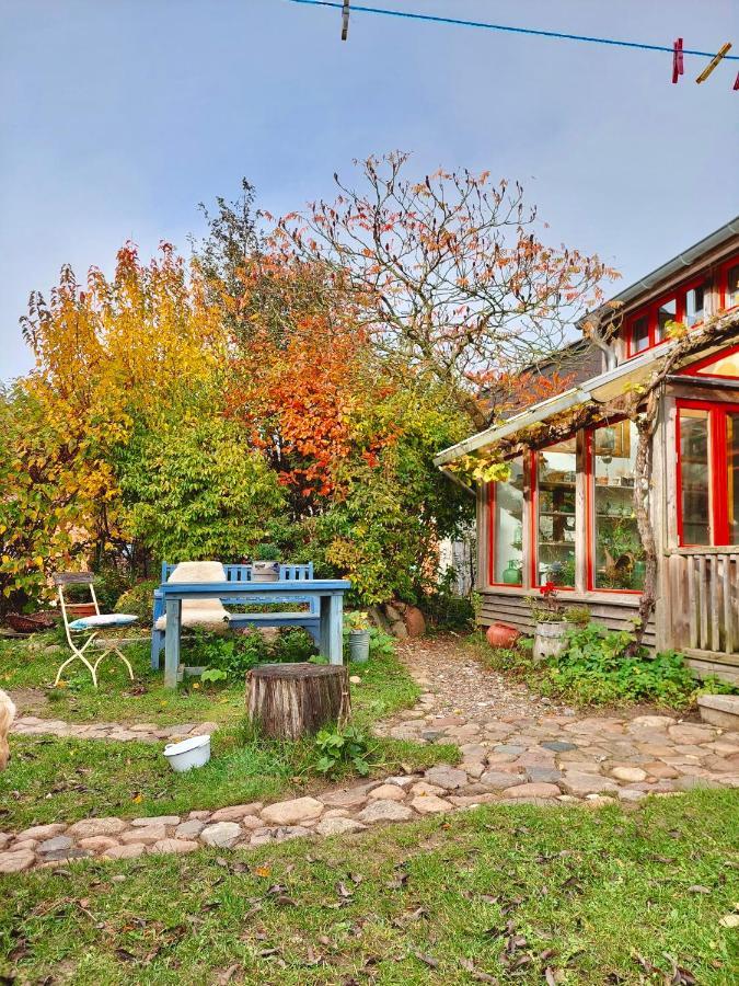 Gemuetliches Studio-Apartment In Ostseenaehe - Cosy Wulfi Probsteierhagen Buitenkant foto